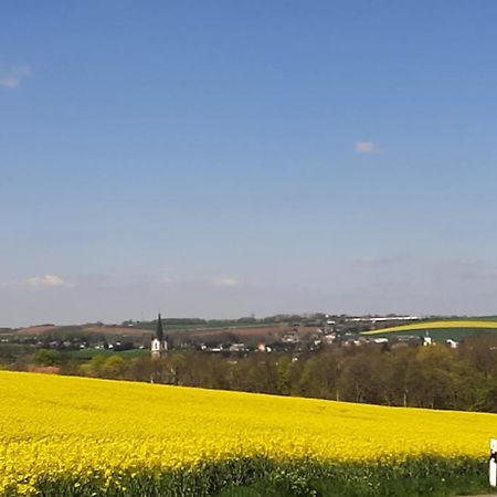 Ferienwohnung Im Gruenen Muldental Langenbach  Exterior foto