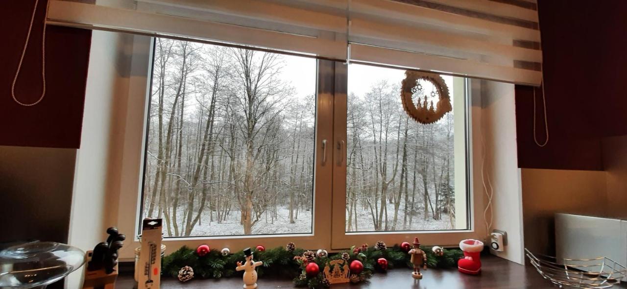 Ferienwohnung Im Gruenen Muldental Langenbach  Exterior foto