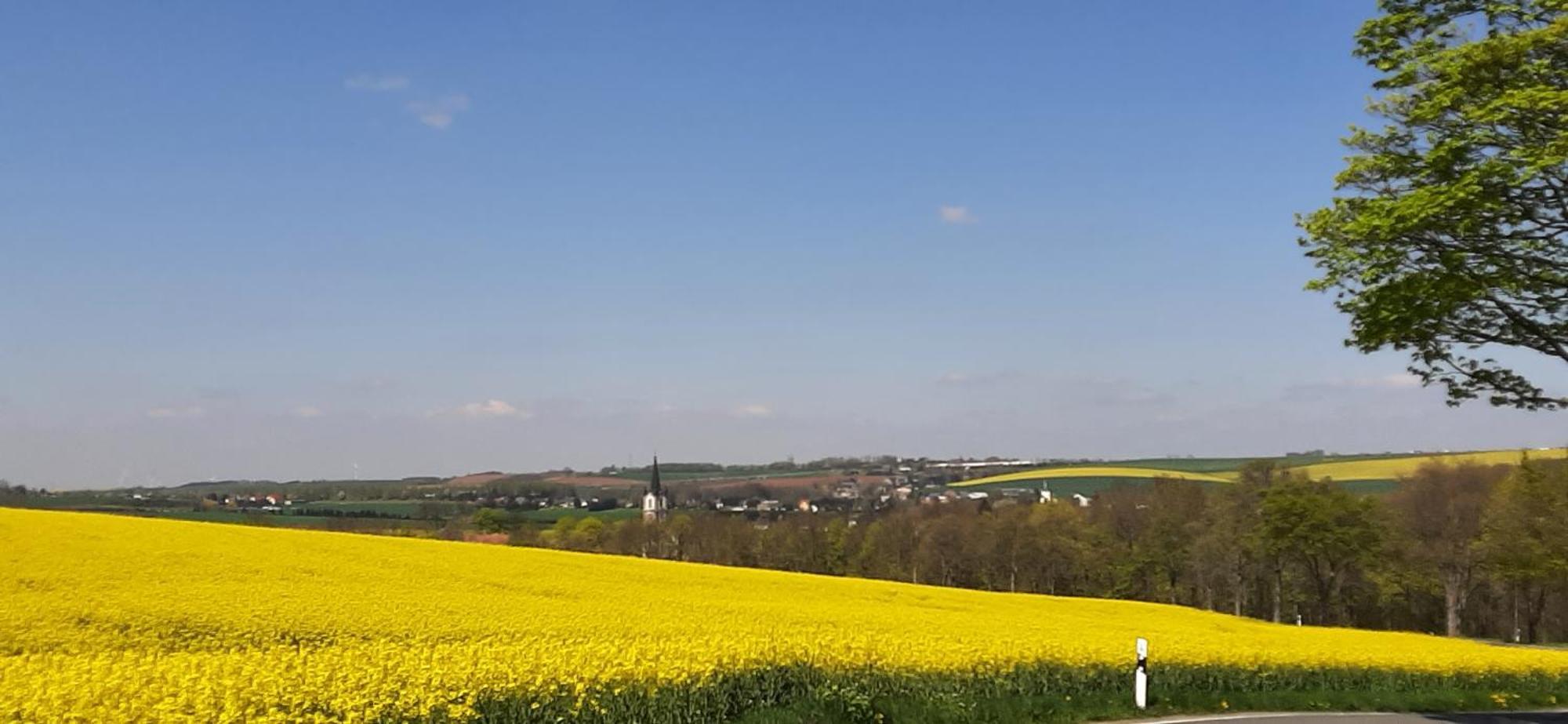Ferienwohnung Im Gruenen Muldental Langenbach  Exterior foto